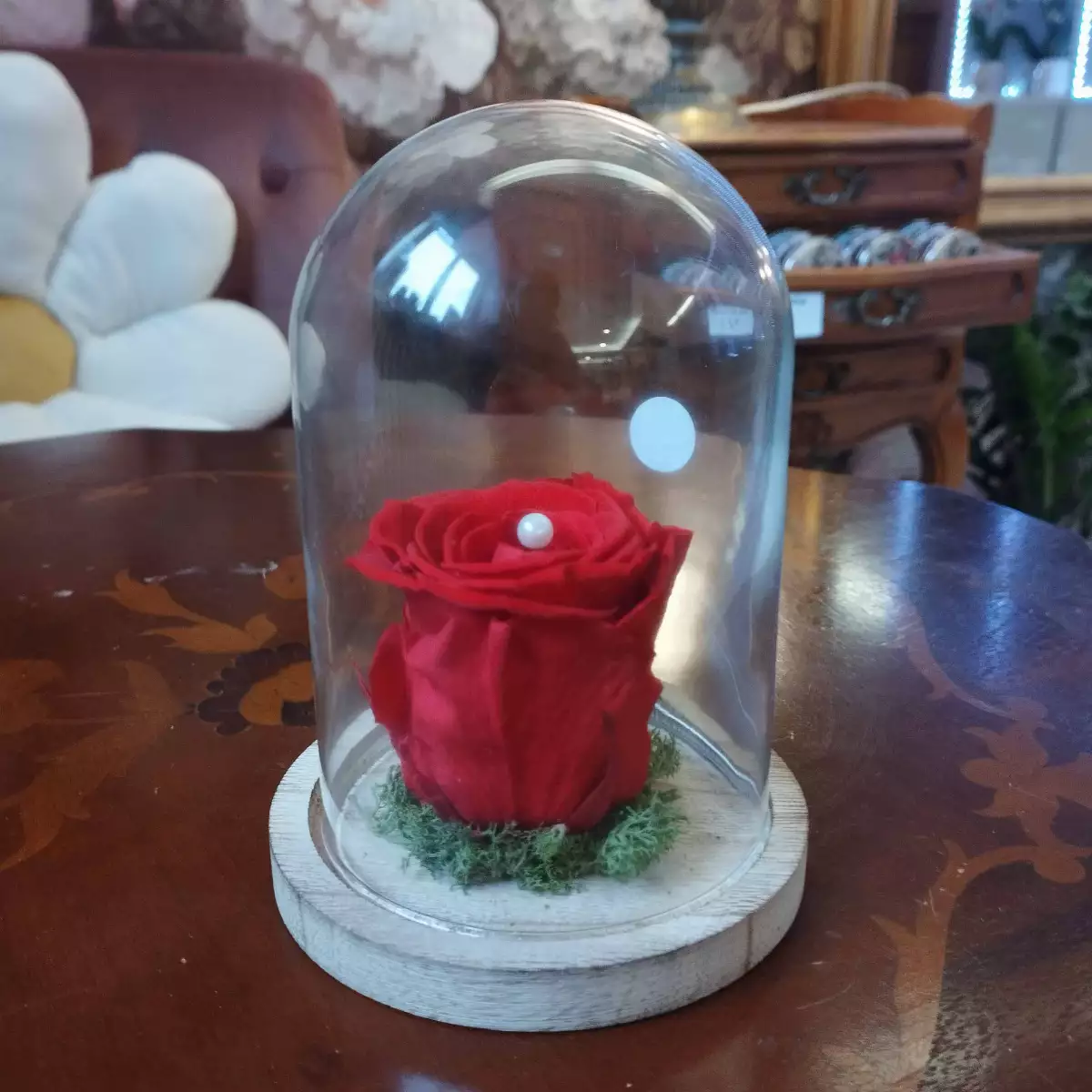 Cloche rose stabilisée M